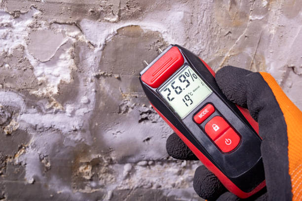 Mold Removal and Inspection in Los Angeles, CA